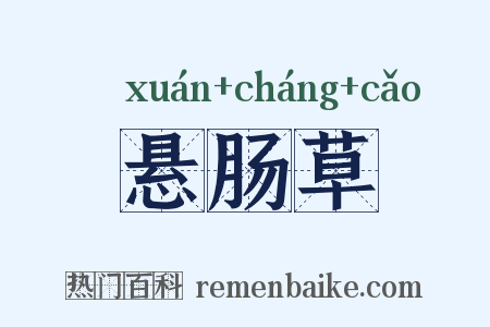 悬肠草是什么意思的图片
